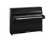 Polished Ebony Chrome