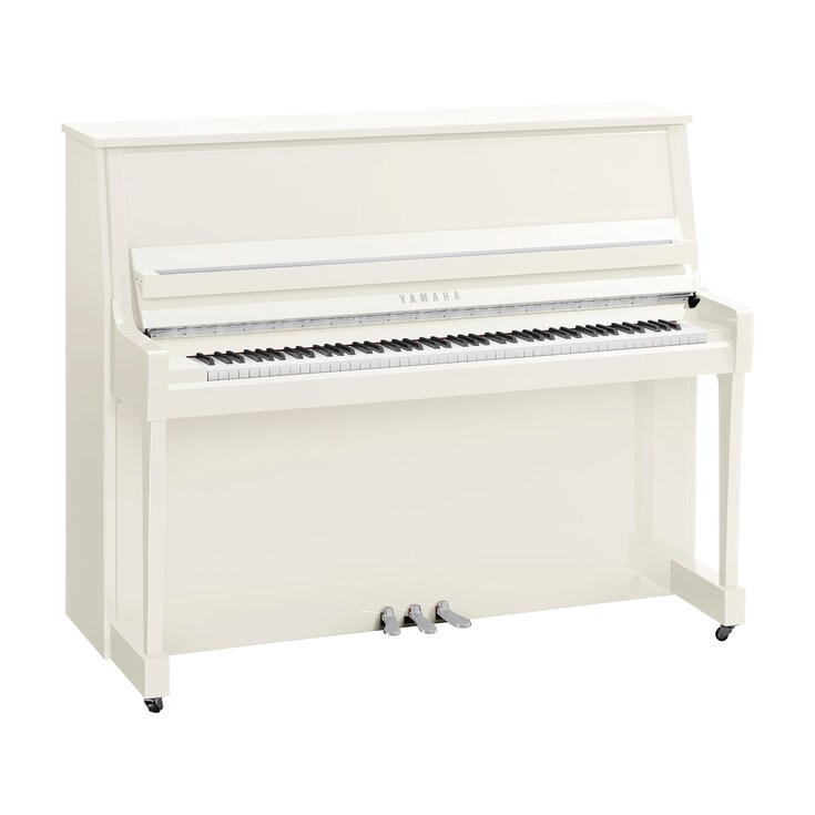 Product image of B30 (Polished White Chrome)