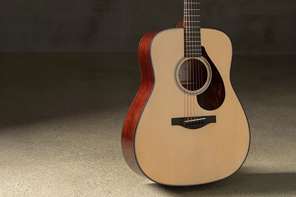 Acoustic Guitar FG9