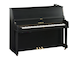 Yamaha P22 SC3