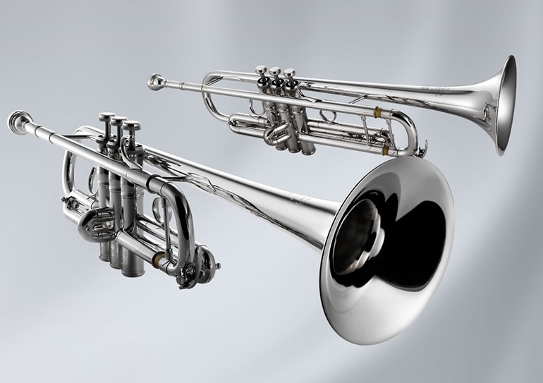 Xeno Artist Model BR type