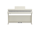 YDP-166_White Birch_front