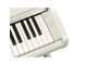 YDP-166_White Birch_keyboard_right