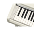 YDP-166_White Birch_keyboard_left
