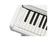 YDP-166_White_keyboard_left