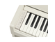 YDP-S36_White Birch_keyboard_left