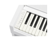 YDP-S36_White_keyboard_left