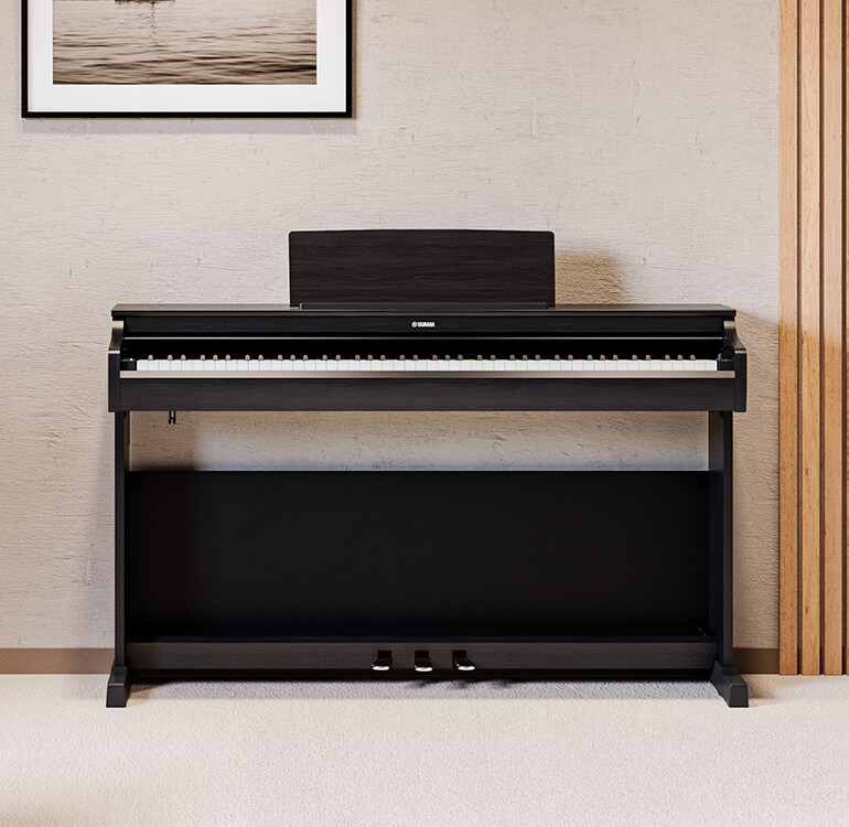 A living room featuring a black ARIUS piano with houseplants and a sofa, harmoniously integrated with the interior
