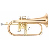 Yamaha Flugelhorns YFH-8310ZG