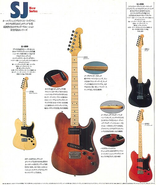 SJ-800 Electric Guitar